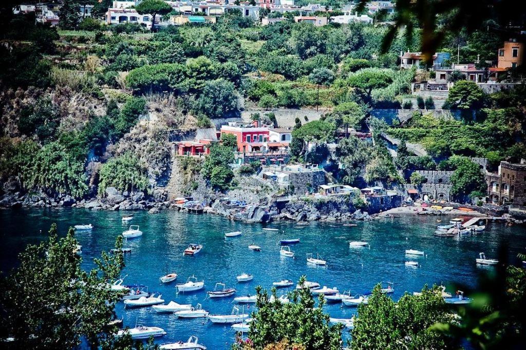 Hotel Villa Antonio Ischia Extérieur photo